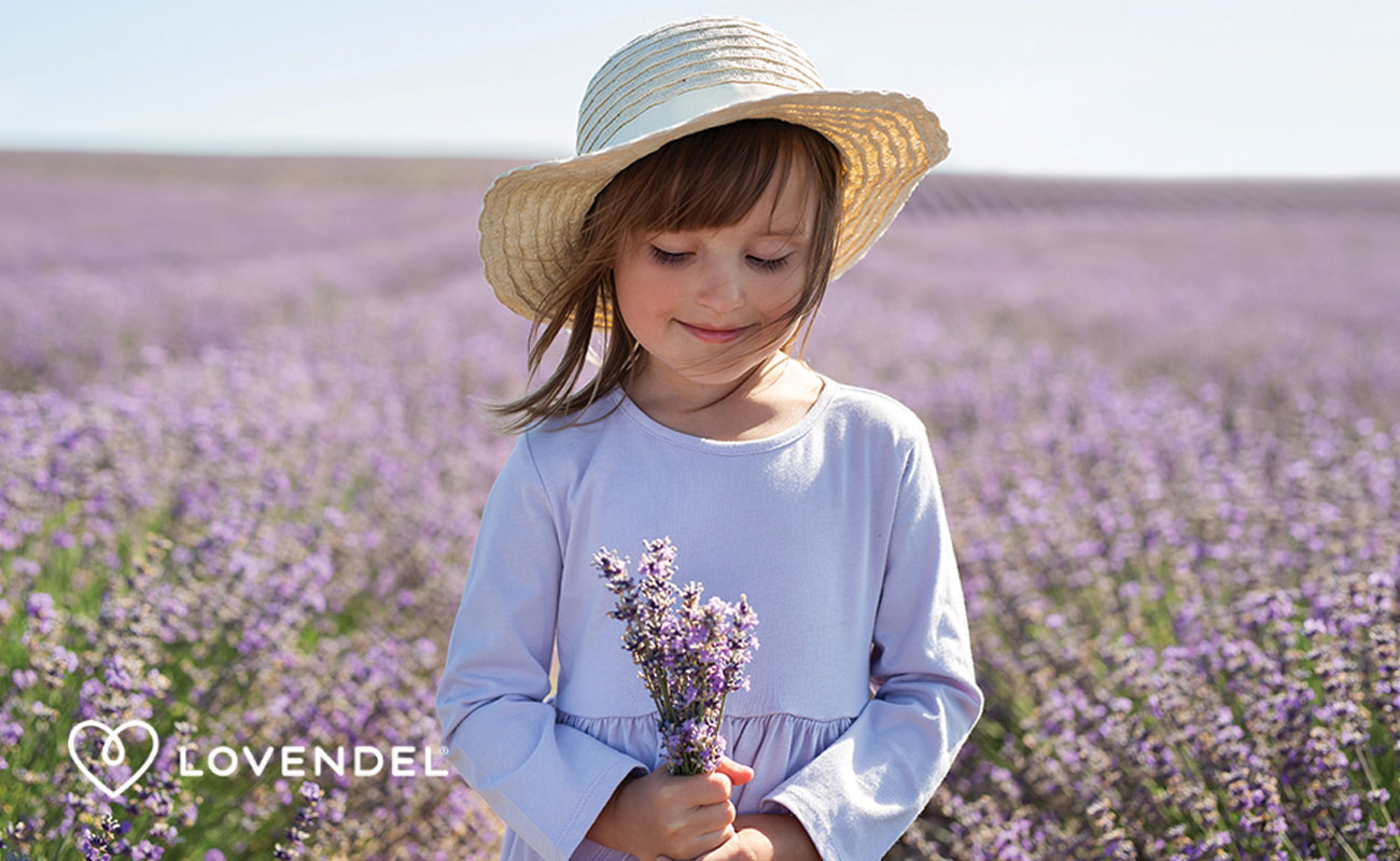 Lovendel® Lavendelfeld