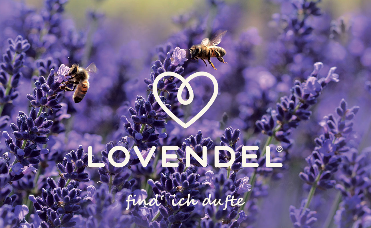 Lovendel® Bienenfreundlich, find ich dufte