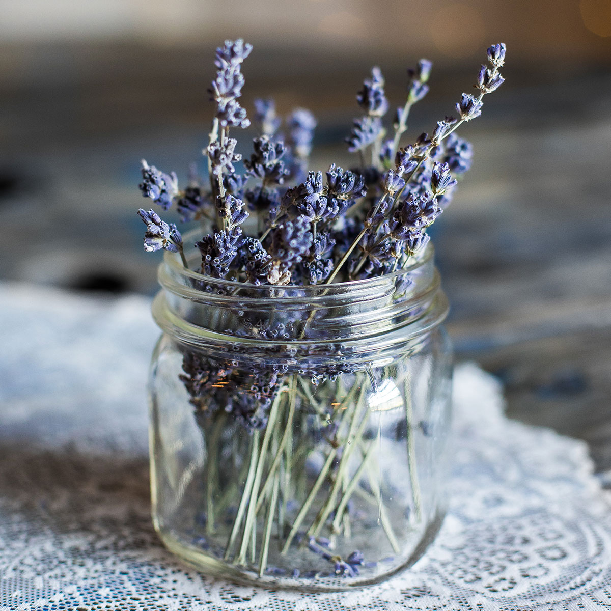 Lovendel® Unser Lavendel